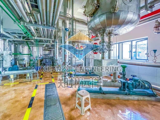Effiziente physikalische Raffinerie für die Biodieselproduktion mit ISO9001-Zertifizierung