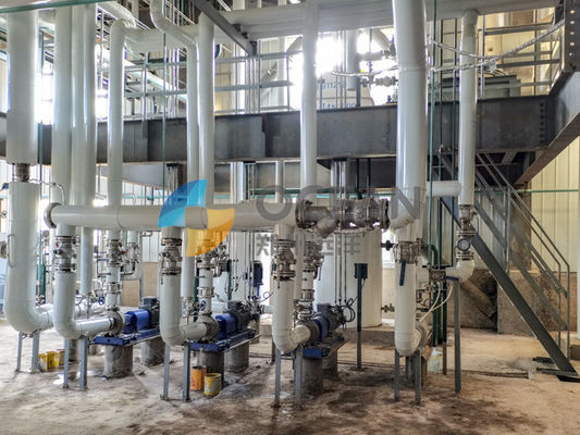 Rapssamen ölen die Vorbehandlungs-Betriebsölsaat, die 30-1500TPD verarbeitet